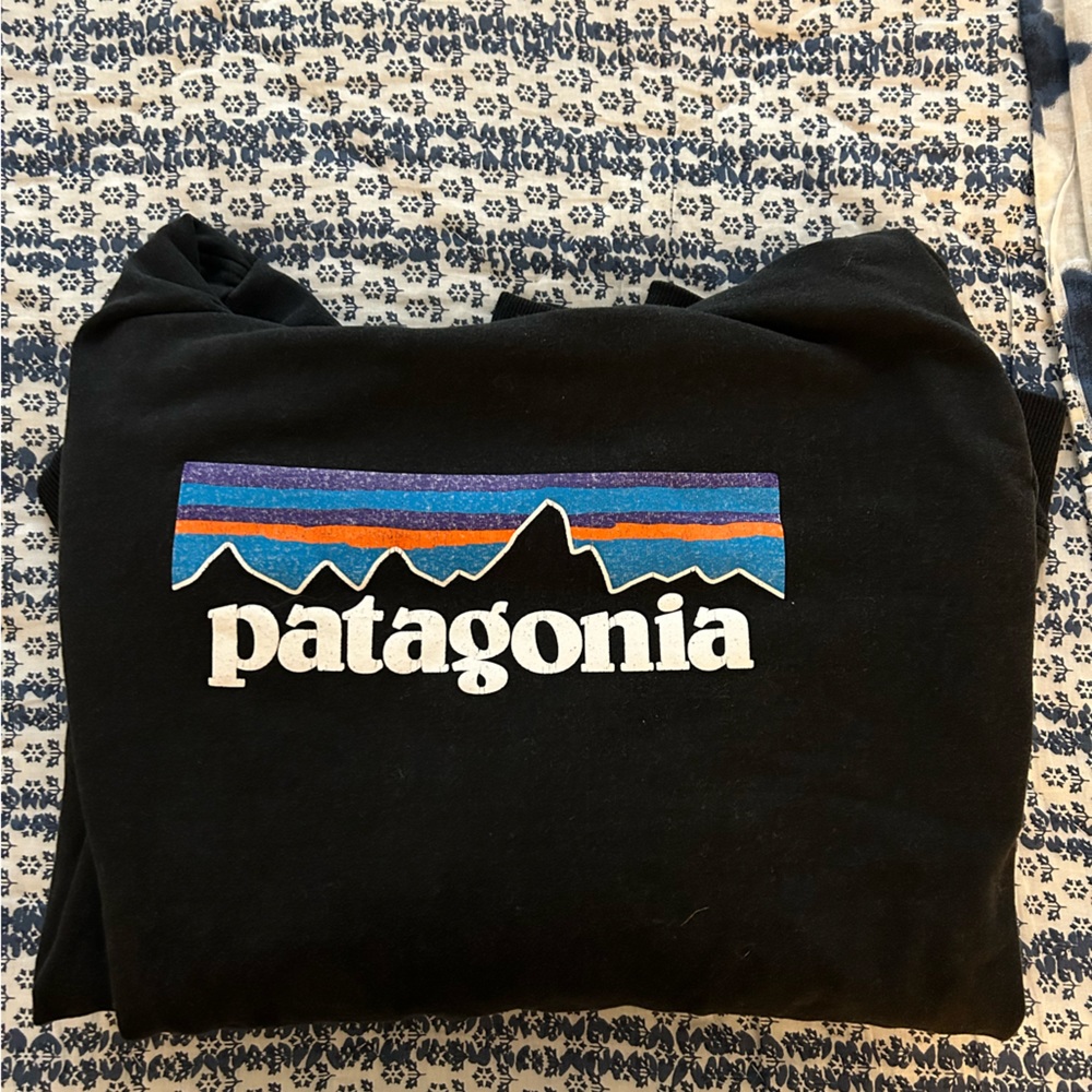 Patagonia pullover sweatshirt